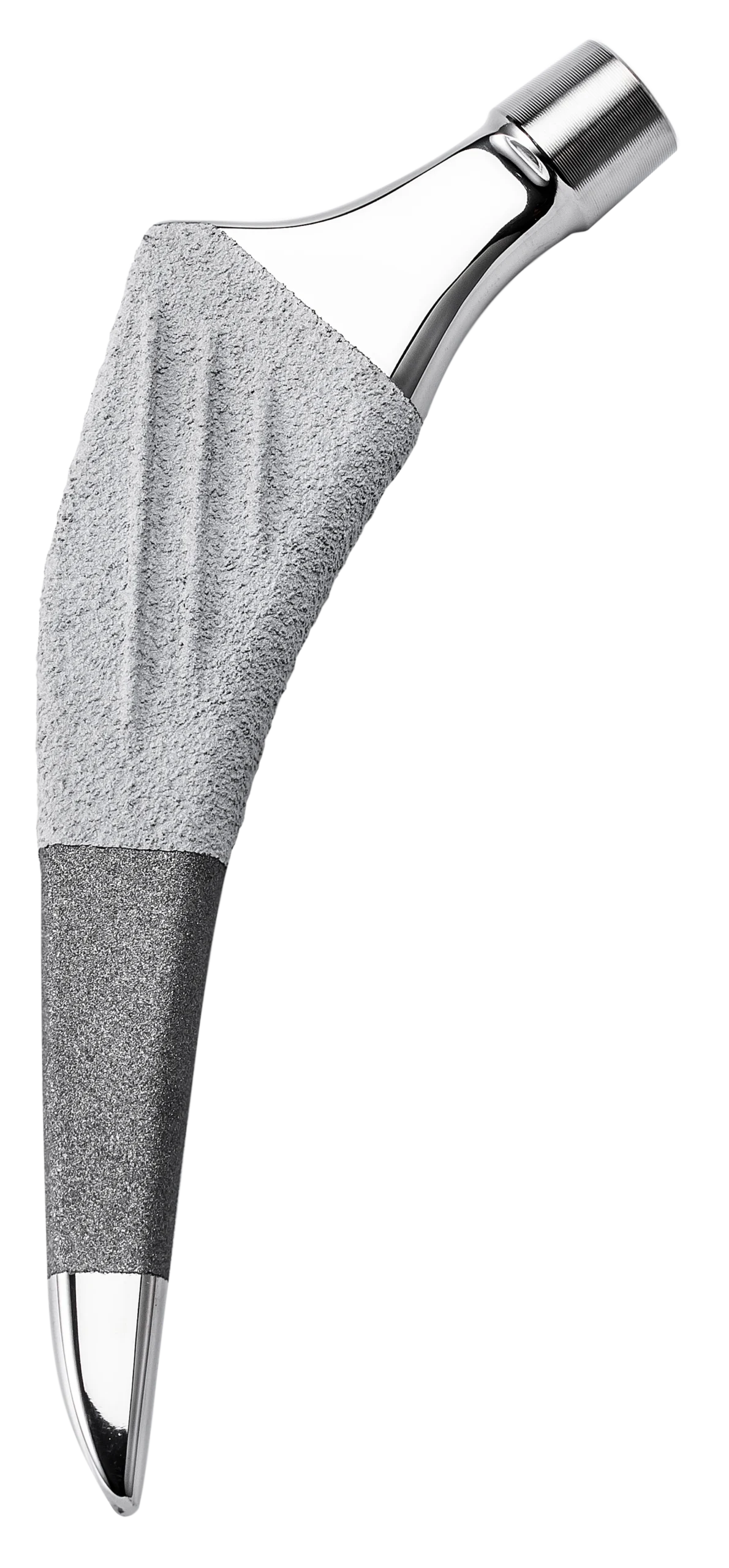 Vástago femoral BE1