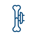 Fijación Externa​